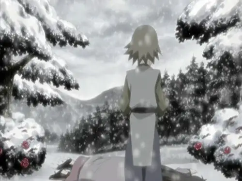Naruto Shippuden Temporada 5 Episodios 106 • Sub Español