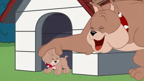 El Show de Tom y Jerry 2014 Temporada 2 Episodios 4 • Sub Español