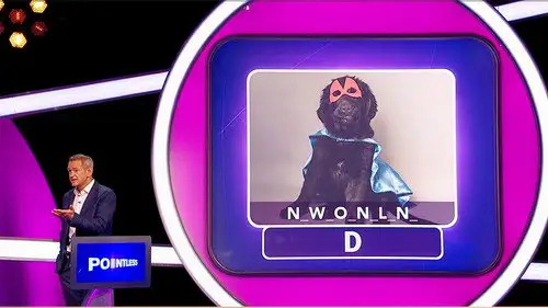 Pointless Temporada 34 Episodios 19 • Sub Español