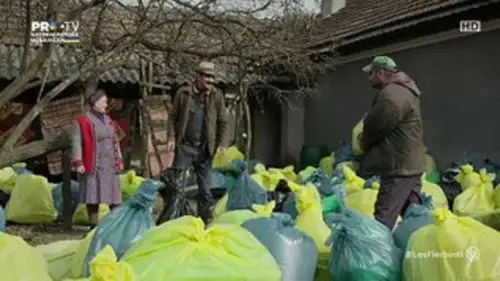 Las Fierbinţi Temporada 21 Episodios 22 • Sub Español