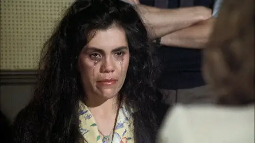 Canción triste de Hill Street Temporada 2 Episodios 18 • Sub Español