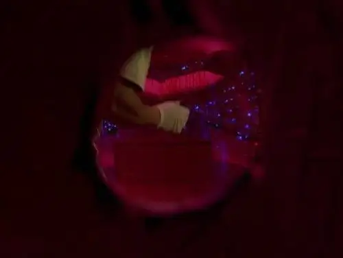 CSI: Miami Temporada 1 Episodios 16 • Sub Español