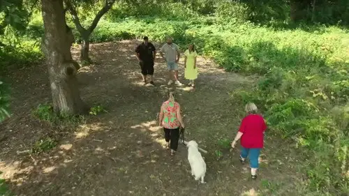 Duel of landscape gardener Temporada 10 Episodios 4 • Sub Español
