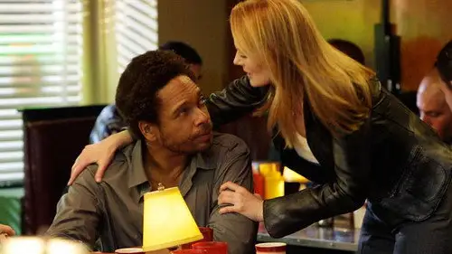 CSI: Las Vegas Temporada 8 Episodios 17 • Sub Español