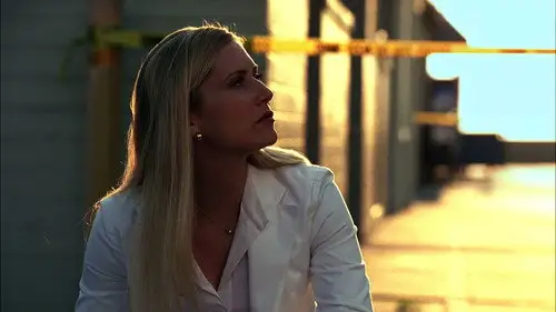 CSI: Miami Temporada 3 Episodios 8 • Sub Español