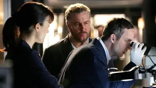 CSI: Las Vegas Temporada 8 Episodios 13 • Sub Español