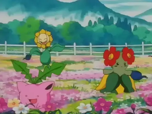 Pokémon Temporada 4 Episodios 21 • Sub Español