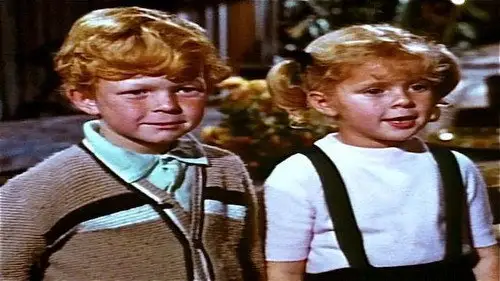 Family Affair Temporada 1 Episodios 1 • Sub Español