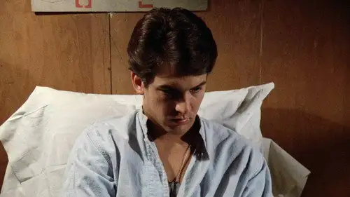 M*A*S*H Temporada 11 Episodios 9 • Sub Español