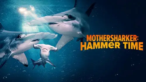 Shark Week S37E21 • Oglądaj Online