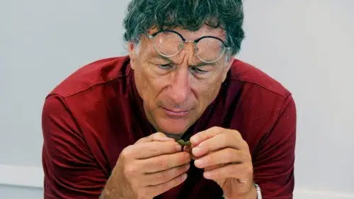 La maldición de Oak Island Temporada 8 Episodios 13 • Sub Español