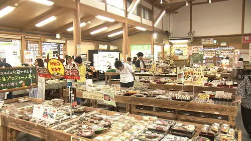 Japanology Plus Temporada 5 Episodios 22 • Sub Español