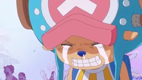 One Piece Temporada 14 Episodios 537 • Sub Español
