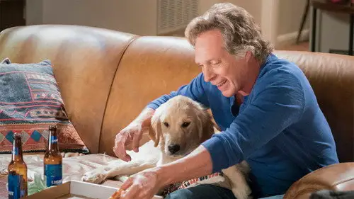 Mom Temporada 5 Episodios 21 • Sub Español