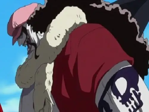 One Piece Temporada 14 Episodios 535 • Sub Español