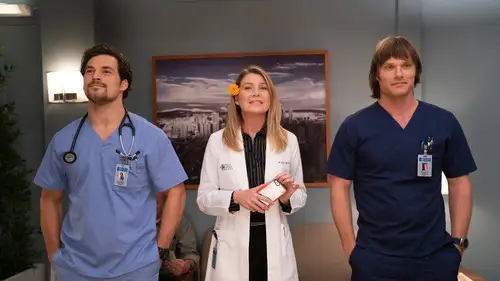 Anatomía de Grey Temporada 15 Cap 6 • Español Online