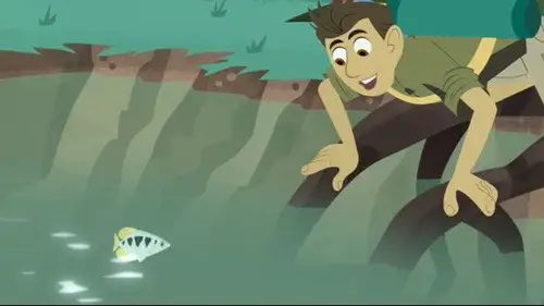 Los Hermanos Kratt Temporada 4 Episodios 20 • Sub Español