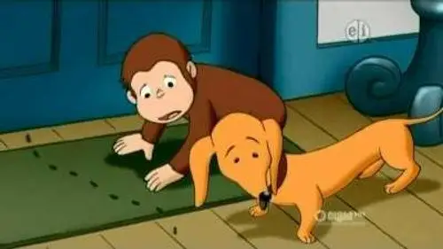 Jorge el curioso Temporada 6 Episodios 13 • Sub Español