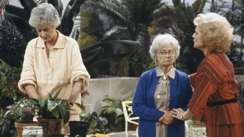 Las chicas de oro Temporada 2 Episodios 1 • Sub Español