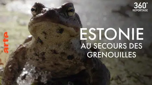 ARTE 360° Reportage Temporada 24 Episodios 23 • Sub Español