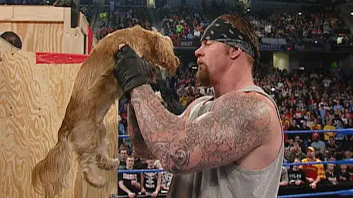 WWE Friday Night SmackDown S5E8 • Oglądaj Online
