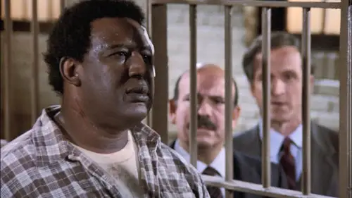 Canción triste de Hill Street Temporada 5 Episodios 14 • Sub Español