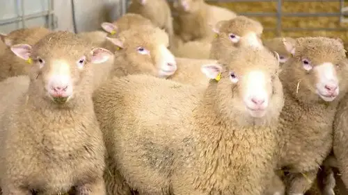 Countryfile S35E18 • Oglądaj Online