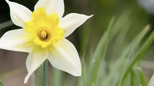 Countryfile S34E14 • Oglądaj Online