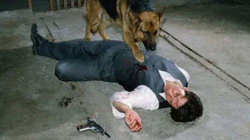 Rex, un policía diferente Temporada 4 Episodios 4 • Sub Español