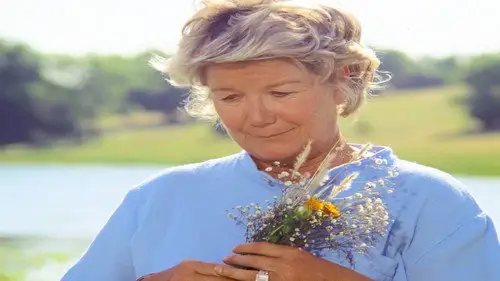 Dallas Temporada 9 Episodios 4 • Sub Español