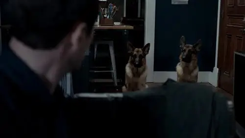 Hudson & Rex Temporada 1 Episodios 3 • Sub Español