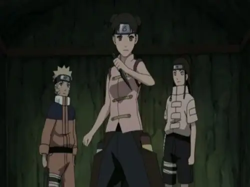 Naruto Shippuden Temporada 9 Episodios 184 • Sub Español