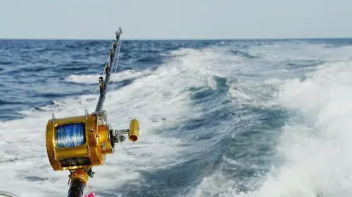 Wicked Tuna: Outer Banks Temporada 2 Episodios 10 • Sub Español
