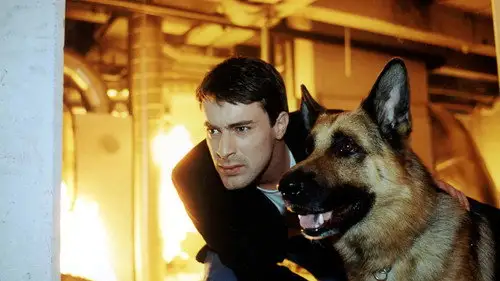 Rex, un policía diferente Temporada 6 Episodios 6 • Sub Español