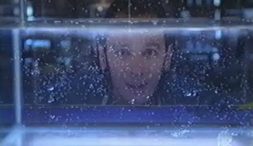 Crossing Jordan Temporada 4 Episodios 14 • Sub Español