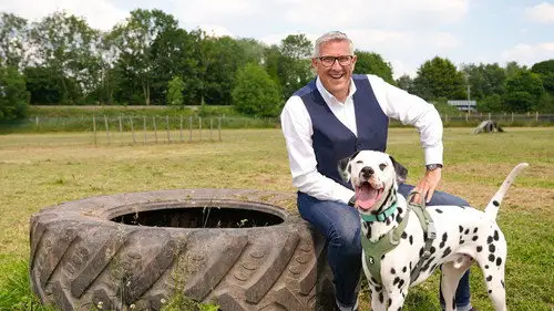Dogs Behaving (Very) Badly Temporada 7 Episodios 1 • Sub Español