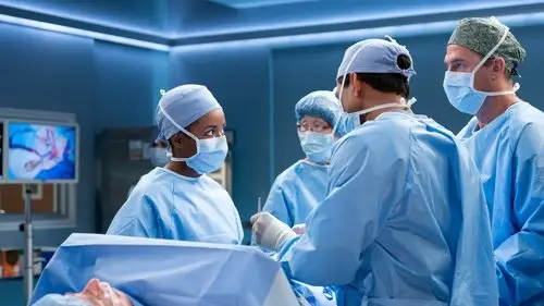 Anatomía de Grey Temporada 21 Episodios 3 • Sub Español