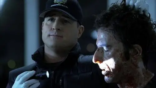 CSI: Las Vegas Temporada 11 Episodios 14 • Sub Español
