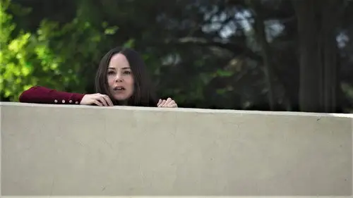 Falsa identidad Temporada 2 Episodios 13 • Sub Español