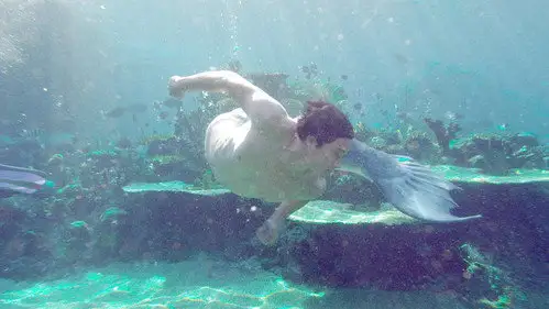 Las sirenas de Mako Temporada 1 Episodios 23 • Sub Español
