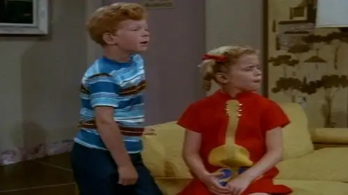 Family Affair Temporada 3 Episodios 11 • Sub Español