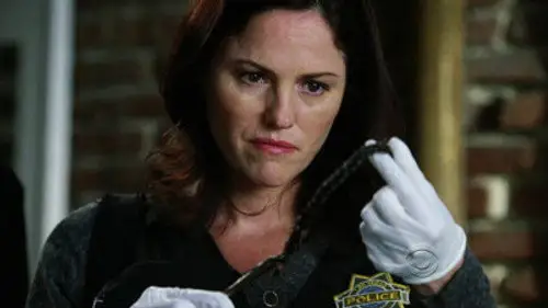 CSI: Las Vegas Temporada 12 Episodios 13 • Sub Español