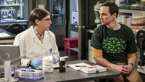 Big Bang Temporada 10 Episodios 8 • Sub Español