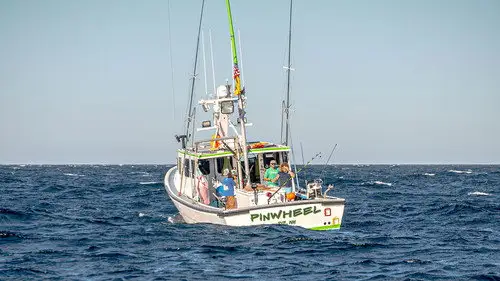 Pesca Pesada Temporada 10 Episodios 14 • Sub Español