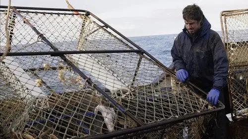 Pesca radical Temporada 17 Episodios 8 • Sub Español