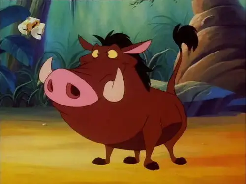 Timón y Pumba Temporada 1 Episodios 23 • Sub Español