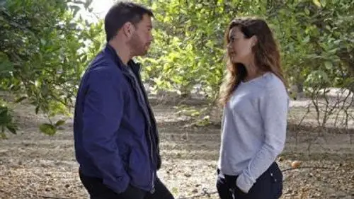 Navy: Investigación criminal Temporada 11 Episodios 2 • Sub Español