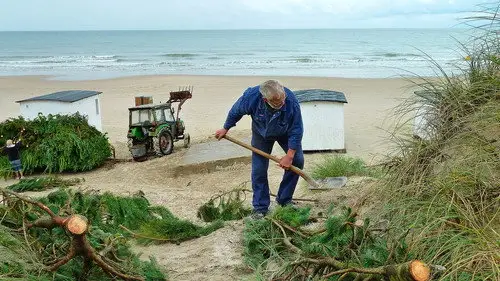 mare TV Temporada 12 Episodios 7 • Sub Español