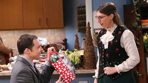 Big Bang Temporada 8 Episodios 11 • Sub Español