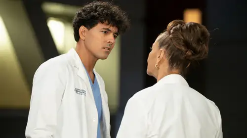 Anatomía de Grey Temporada 21 Episodios 15 • Sub Español
